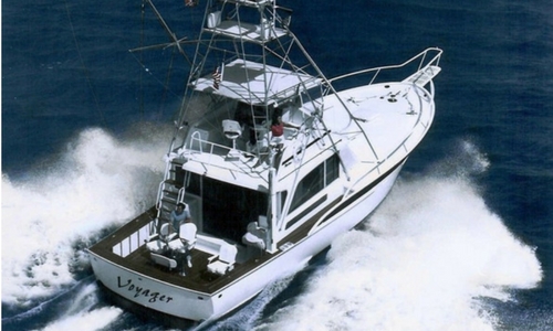 Cast Away with Deep Sea Fishing Tours near Myrtle Beach - Compass Cove  Resort