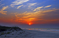 Things to do and see at Huntington Beach & Myrtle Beach State Parks