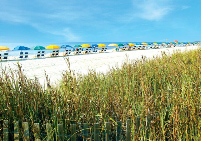 White sandy beaches