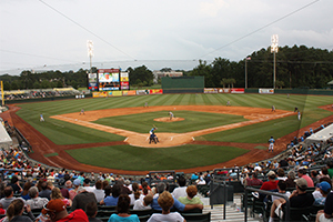 Myrtle Beach Pelicans Baseball title