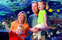 Ripley’s Aquarium title