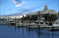 Crazy Sister Marina - Deep Sea Fishing and Water Sports title