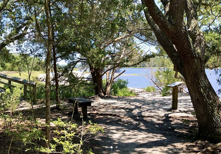 Benches under the trees with a view of the marsh