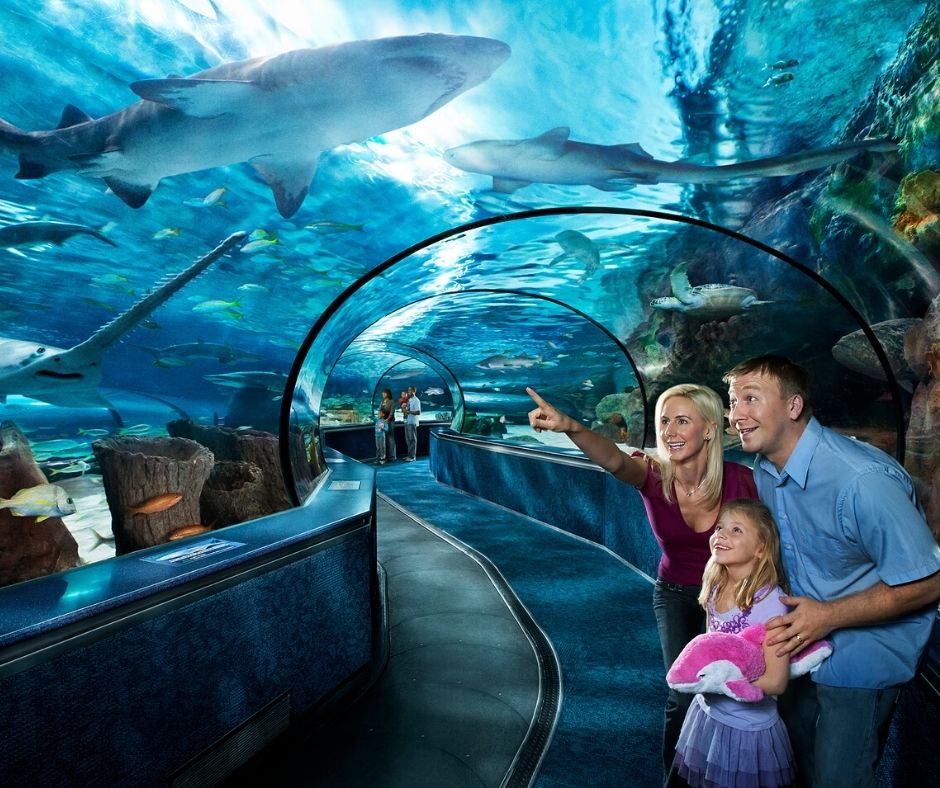 Ripleys Aquarium