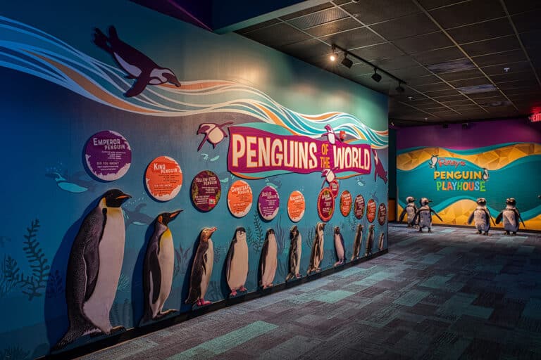 Ripley's Aquarium Penguins Playhouse